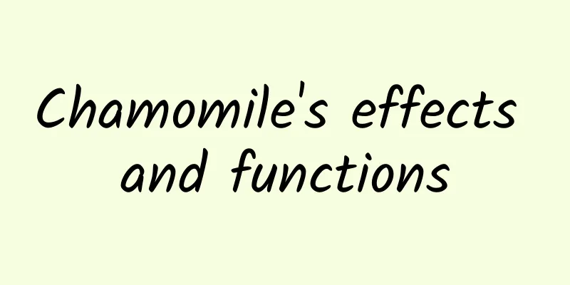 Chamomile's effects and functions