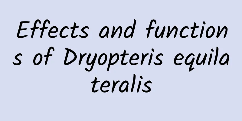 Effects and functions of Dryopteris equilateralis