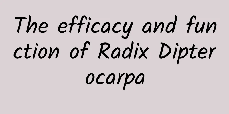 The efficacy and function of Radix Dipterocarpa