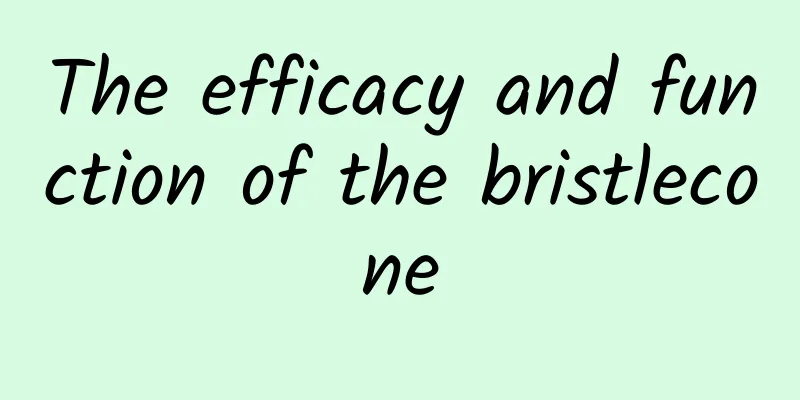 The efficacy and function of the bristlecone