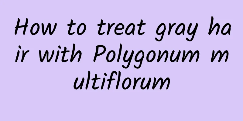 How to treat gray hair with Polygonum multiflorum