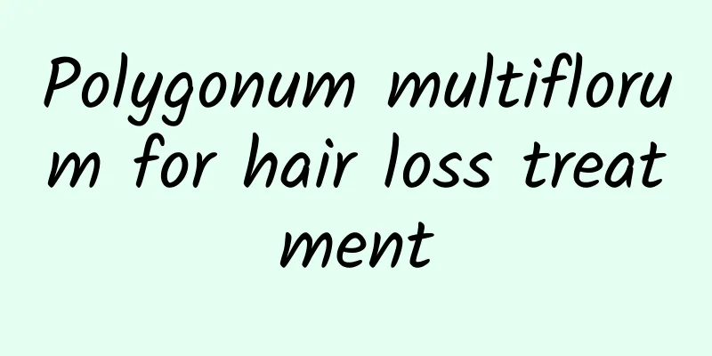 Polygonum multiflorum for hair loss treatment