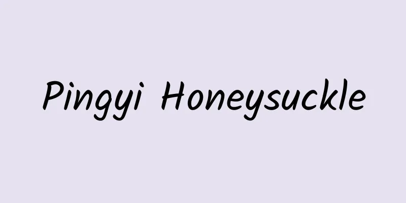 Pingyi Honeysuckle