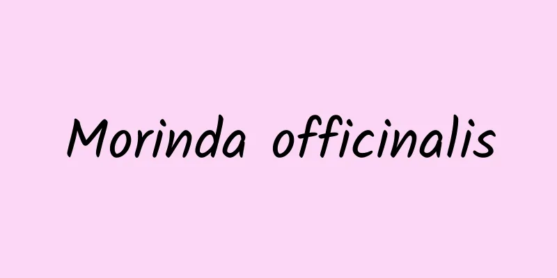 Morinda officinalis