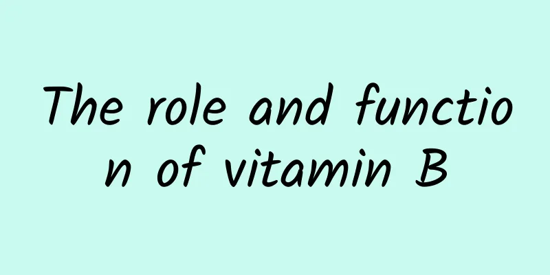 The role and function of vitamin B