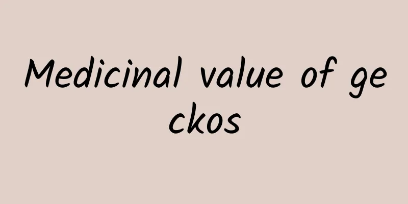 Medicinal value of geckos