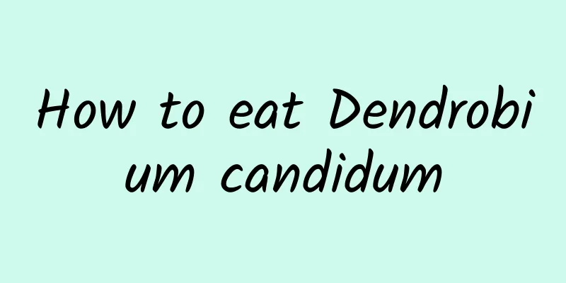 How to eat Dendrobium candidum