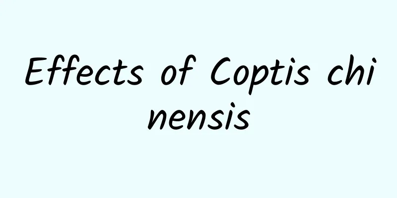 Effects of Coptis chinensis