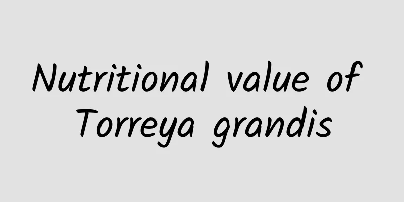 Nutritional value of Torreya grandis