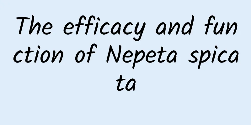 The efficacy and function of Nepeta spicata