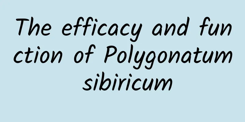 The efficacy and function of Polygonatum sibiricum