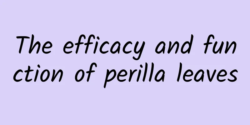 The efficacy and function of perilla leaves