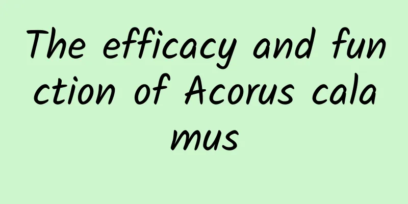 The efficacy and function of Acorus calamus
