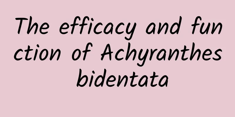 The efficacy and function of Achyranthes bidentata