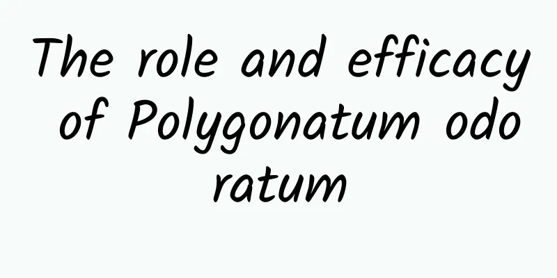 The role and efficacy of Polygonatum odoratum