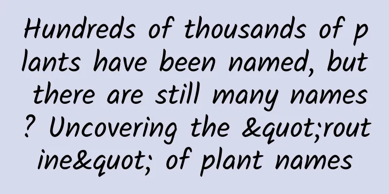 Hundreds of thousands of plants have been named, but there are still many names? Uncovering the "routine" of plant names
