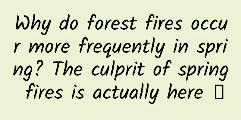 Why do forest fires occur more frequently in spring? The culprit of spring fires is actually here →