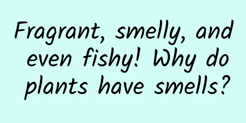 Fragrant, smelly, and even fishy! Why do plants have smells?