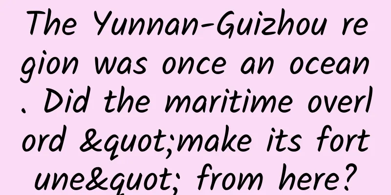 The Yunnan-Guizhou region was once an ocean. Did the maritime overlord "make its fortune" from here?