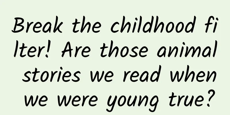 Break the childhood filter! Are those animal stories we read when we were young true?