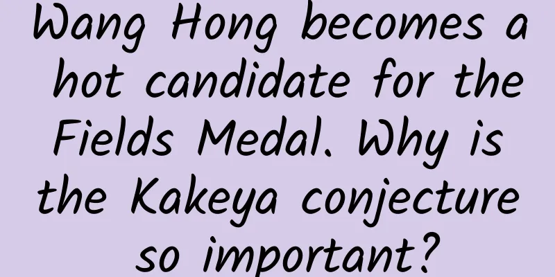 Wang Hong becomes a hot candidate for the Fields Medal. Why is the Kakeya conjecture so important?