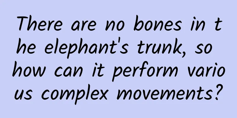 There are no bones in the elephant's trunk, so how can it perform various complex movements?