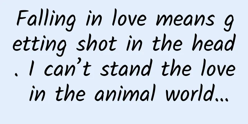 Falling in love means getting shot in the head. I can’t stand the love in the animal world…