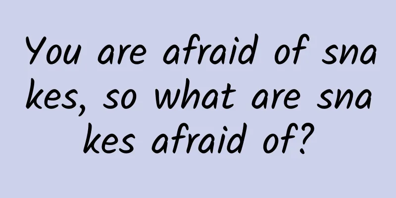 You are afraid of snakes, so what are snakes afraid of?