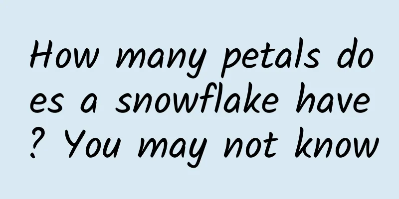 How many petals does a snowflake have? You may not know