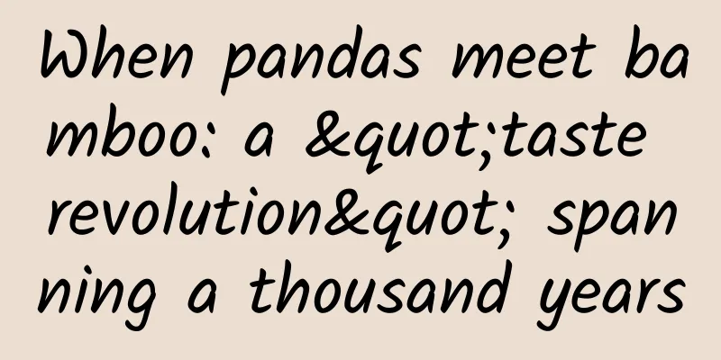 When pandas meet bamboo: a "taste revolution" spanning a thousand years