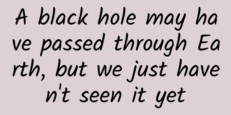A black hole may have passed through Earth, but we just haven't seen it yet