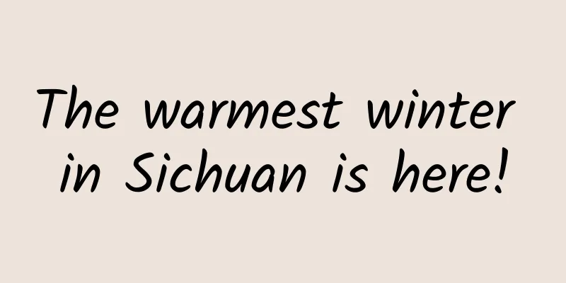 The warmest winter in Sichuan is here!