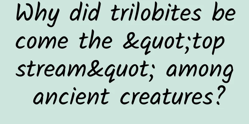 Why did trilobites become the "top stream" among ancient creatures?
