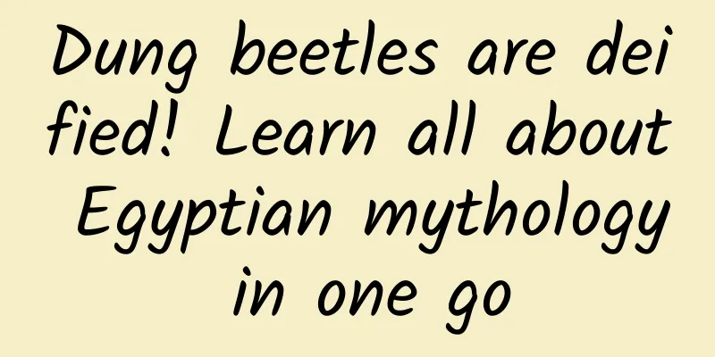 Dung beetles are deified! Learn all about Egyptian mythology in one go