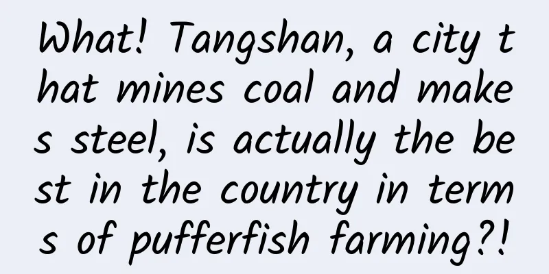 What! Tangshan, a city that mines coal and makes steel, is actually the best in the country in terms of pufferfish farming?!