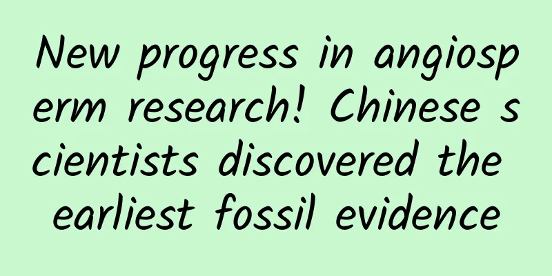 New progress in angiosperm research! Chinese scientists discovered the earliest fossil evidence