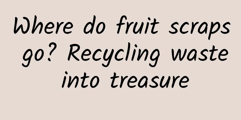 Where do fruit scraps go? Recycling waste into treasure