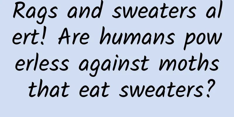 Rags and sweaters alert! Are humans powerless against moths that eat sweaters?