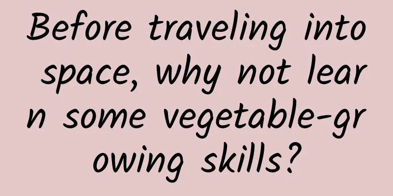 Before traveling into space, why not learn some vegetable-growing skills?