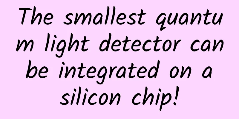 The smallest quantum light detector can be integrated on a silicon chip!