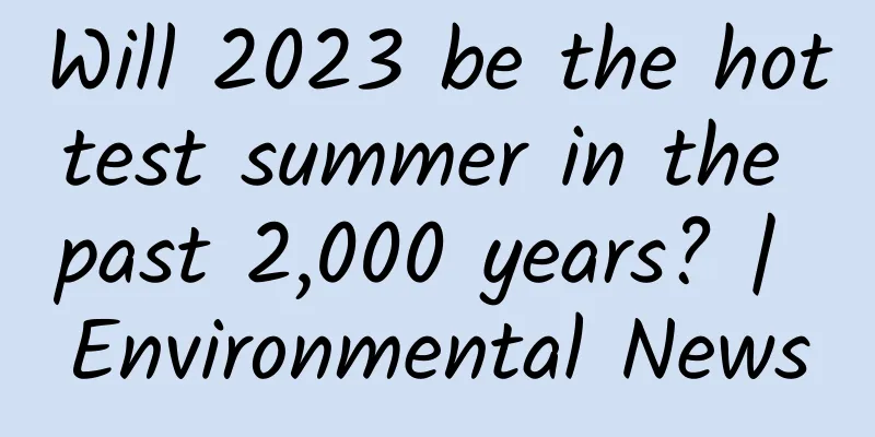 Will 2023 be the hottest summer in the past 2,000 years? | Environmental News