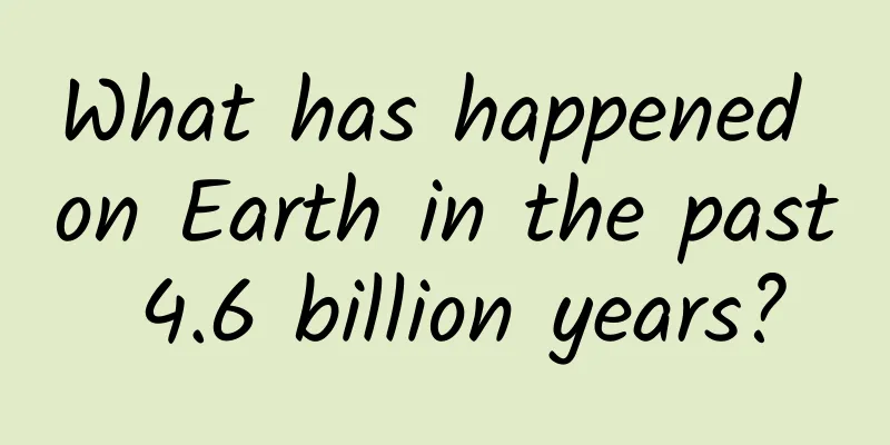 What has happened on Earth in the past 4.6 billion years?