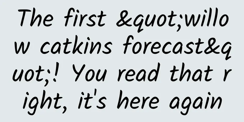 The first "willow catkins forecast"! You read that right, it's here again