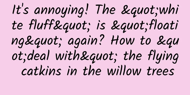 It's annoying! The "white fluff" is "floating" again? How to "deal with" the flying catkins in the willow trees