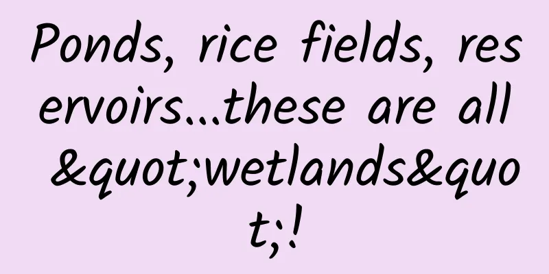 Ponds, rice fields, reservoirs...these are all "wetlands"!