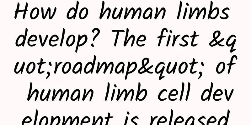 How do human limbs develop? The first "roadmap" of human limb cell development is released