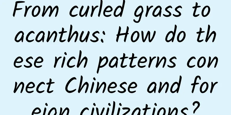 From curled grass to acanthus: How do these rich patterns connect Chinese and foreign civilizations?