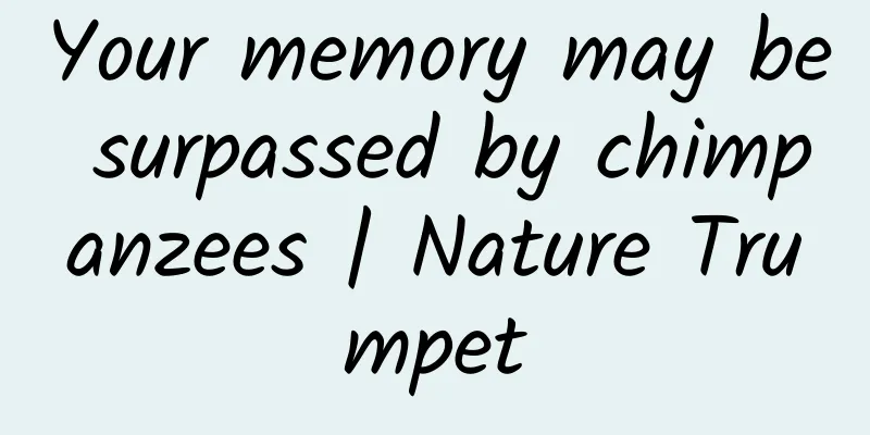Your memory may be surpassed by chimpanzees | Nature Trumpet
