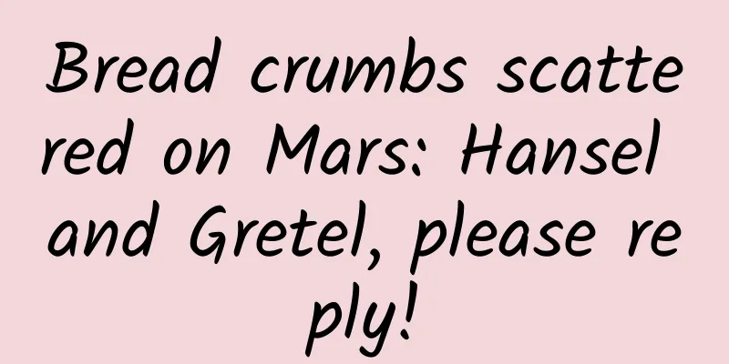 Bread crumbs scattered on Mars: Hansel and Gretel, please reply!