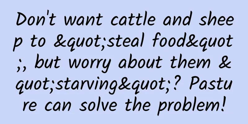 Don't want cattle and sheep to "steal food", but worry about them "starving"? Pasture can solve the problem!